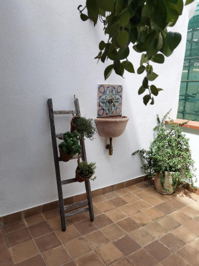 Il Terrazzino Sul Kemonia Lägenhet Palermo Exteriör bild