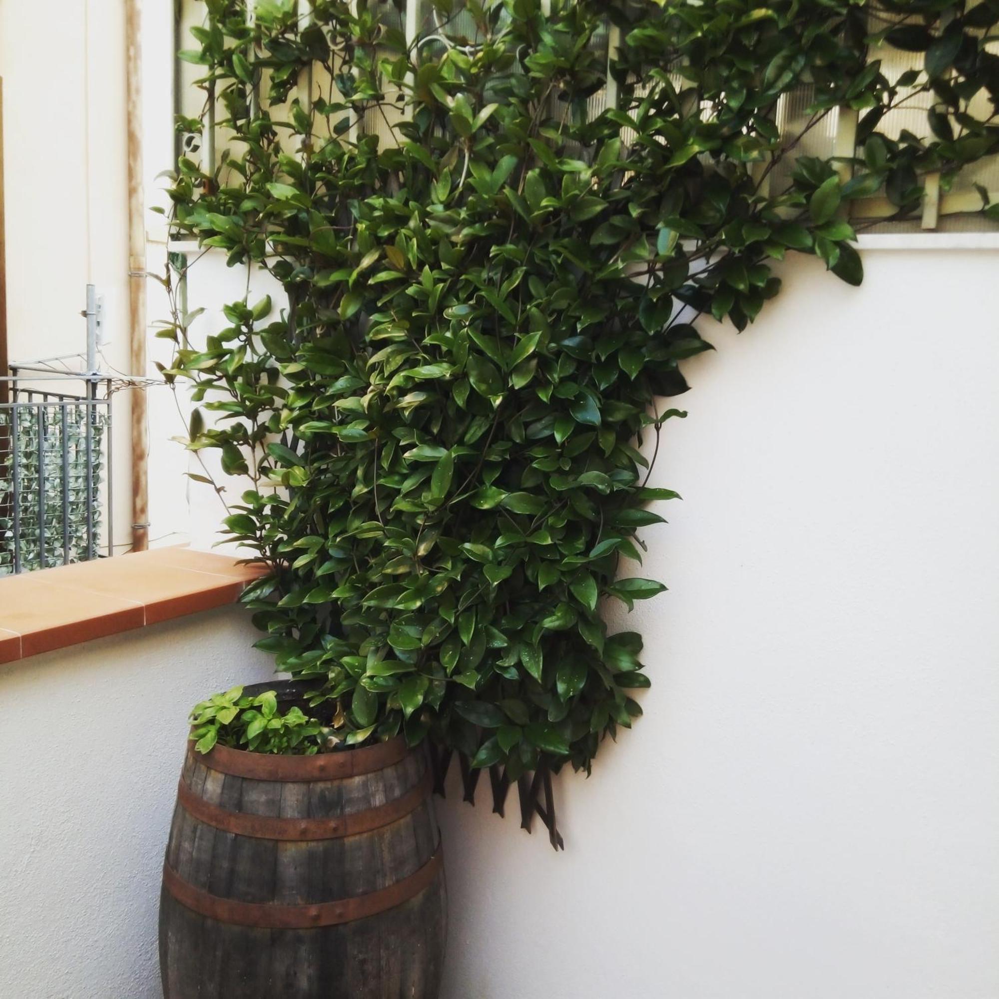 Il Terrazzino Sul Kemonia Lägenhet Palermo Exteriör bild